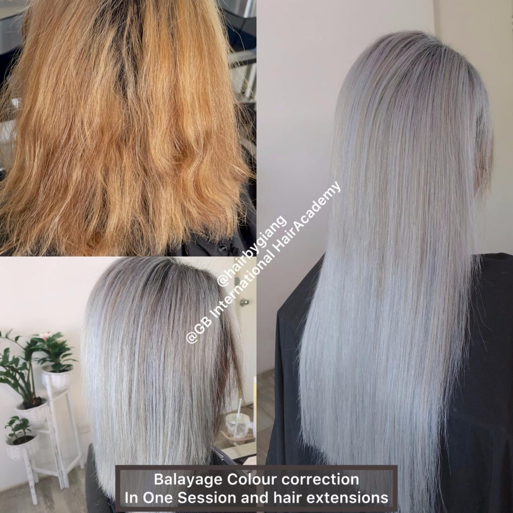 hbg hair extension 3
